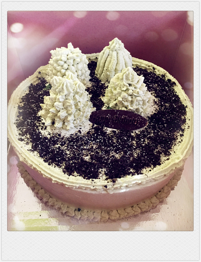 cake_cactus_20150323_001